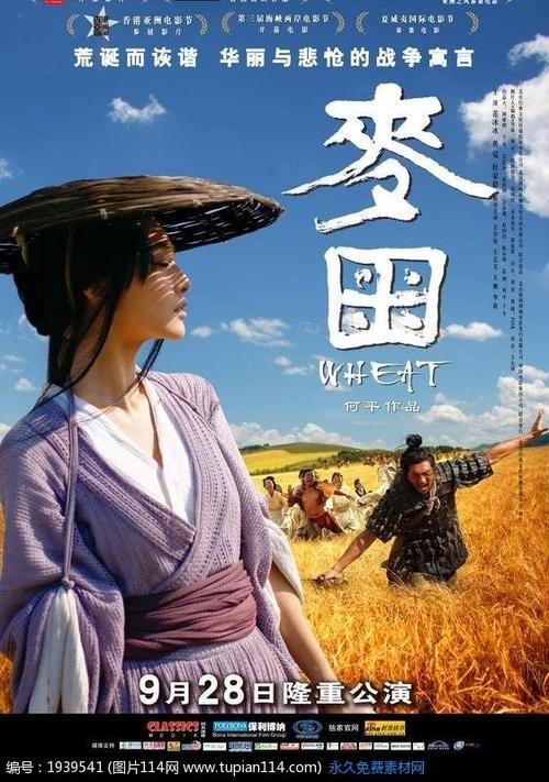 新布伦瑞克省驾驶证买个多少钱